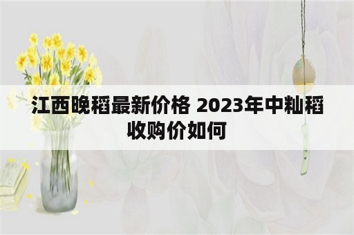 江西晚稻最新价格 2023年中籼稻收购价如何