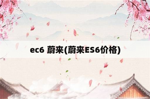 ec6 蔚来(蔚来ES6价格)