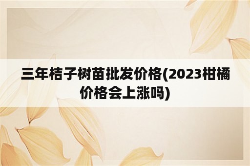 三年桔子树苗批发价格(2023柑橘价格会上涨吗)
