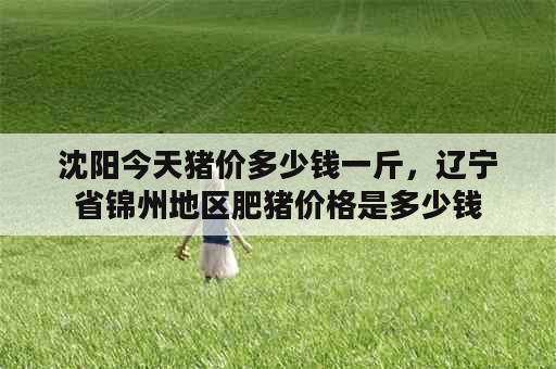 沈阳今天猪价多少钱一斤，辽宁省锦州地区肥猪价格是多少钱